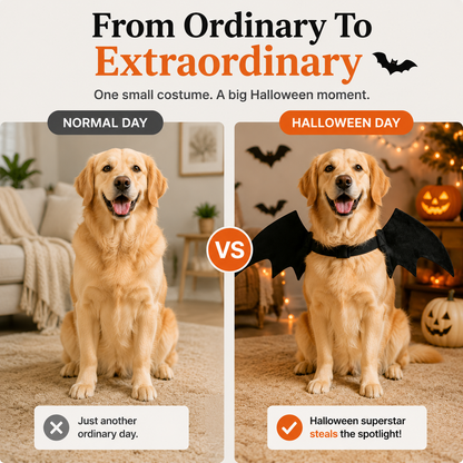 🔥🔥Halloween Bat Wings Costume For Cats & Dogs 🦇