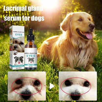 🐱🐶 First 50 customers get one free 🌿 Pet eye cleanser and eye drops – gentle pH-balanced formula, safe for dogs and cats. Soothes redness, removes tear stains and everyday dirt. 💧